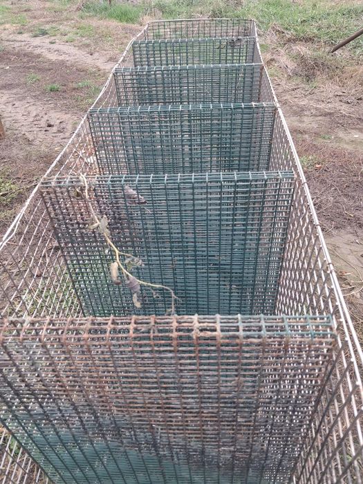 Vând cuști de iepuri