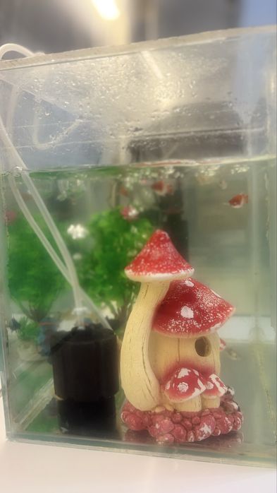 Продам аквариум с рыбками