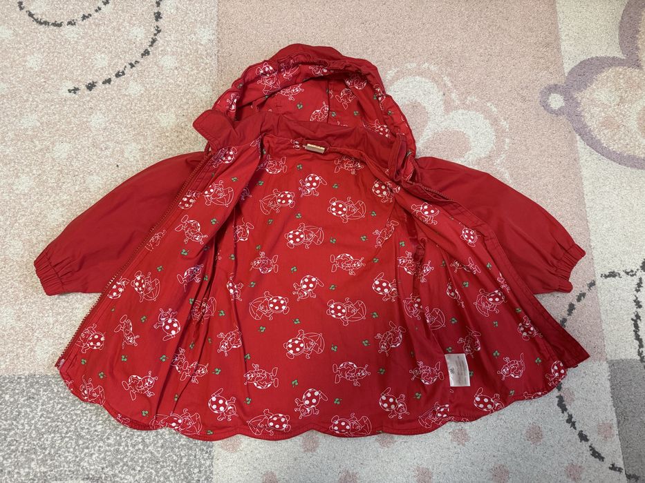 Lot gecute primavara