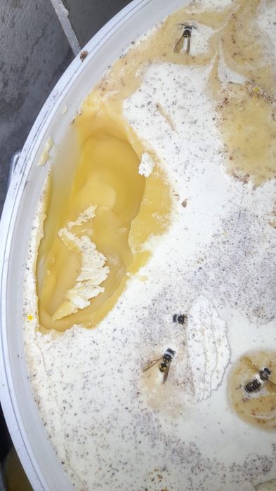 Продам Восточный мед!!!