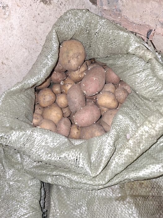 Продам картошку едавую