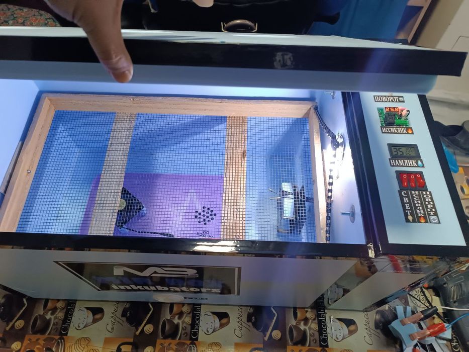 Inkubator 12 volt avtomat