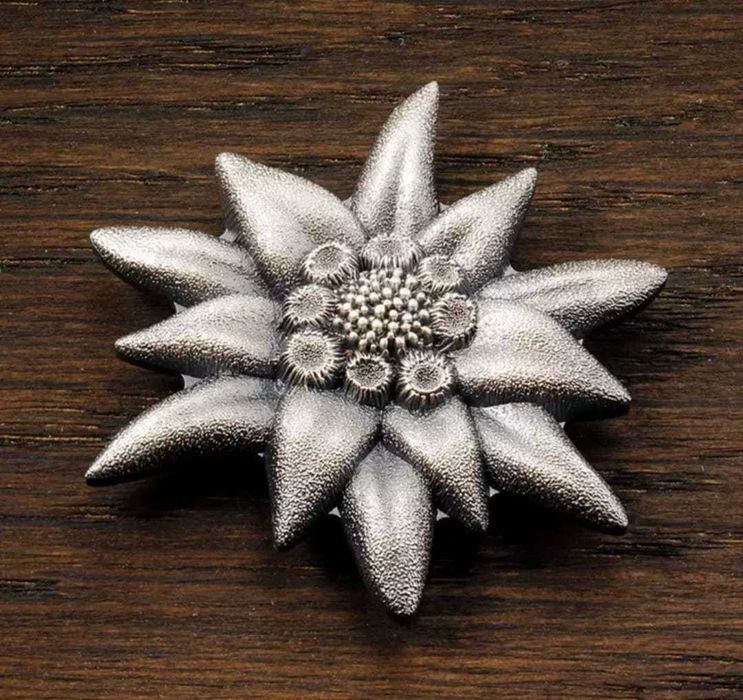 Продаются кошки с котятами