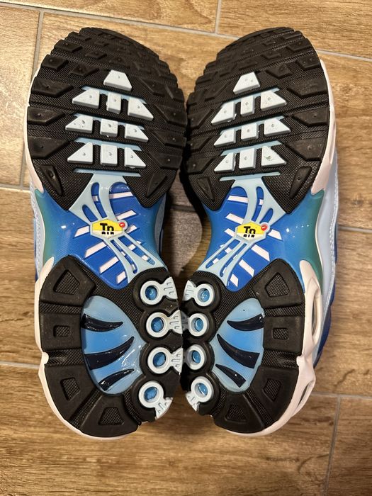 Nike Air Max Plus Tn Blue
