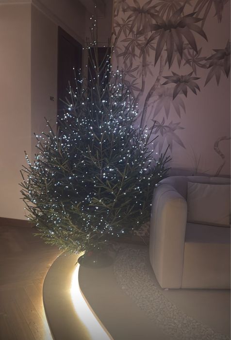 Новогодние Ели, Сосны, Пихта