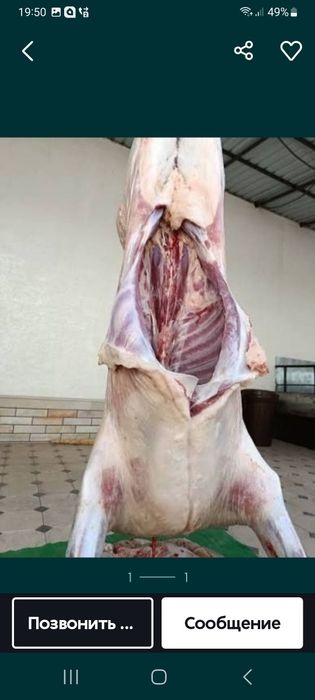 Qassob xizmati samarqand buylab