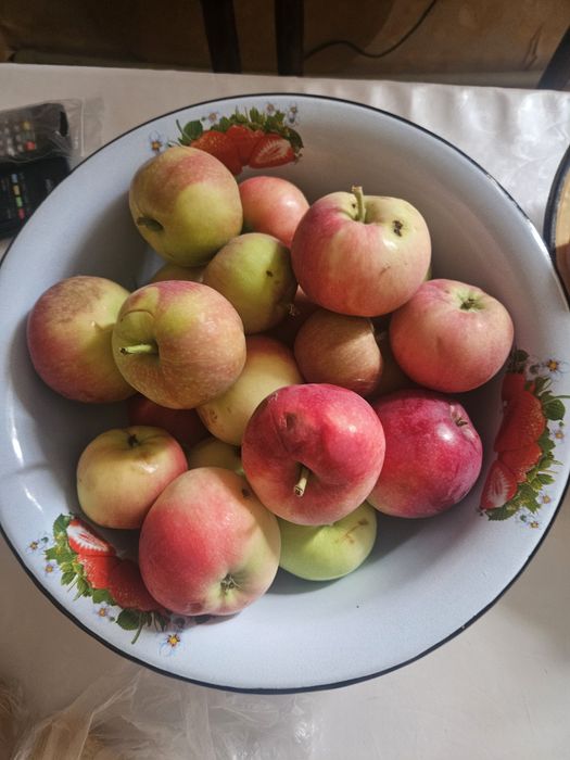 Продаю домашние яблоки
