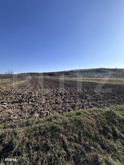 Teren intravilan 5.800 mp, potential de parcelare-constructie, zona Sa