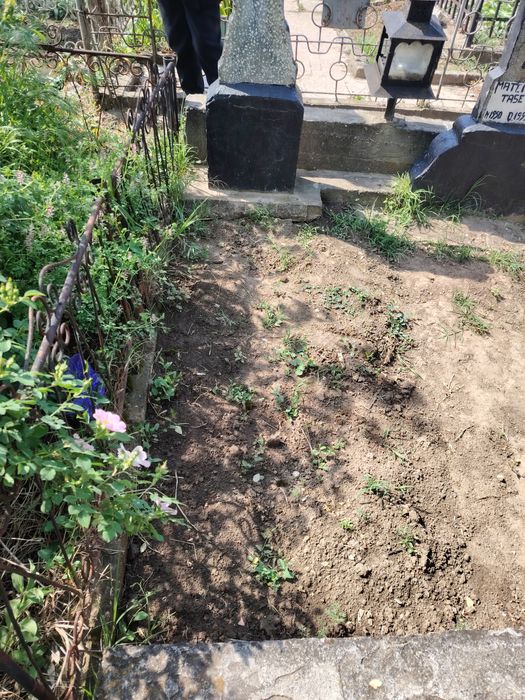 Loc de veci cimitirul central.