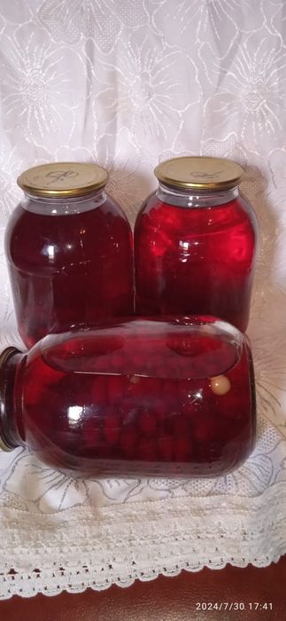 Наш адрес. Сайрам Менделеева 8,