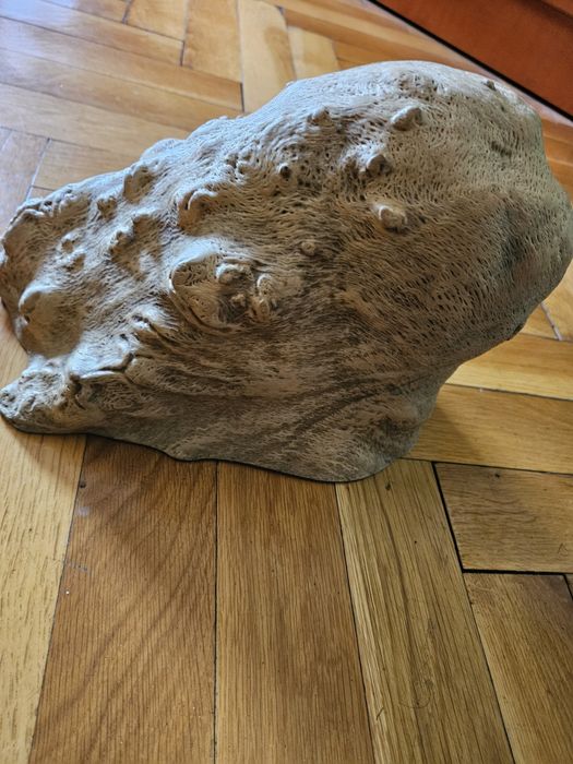 Декорация за дома и градината