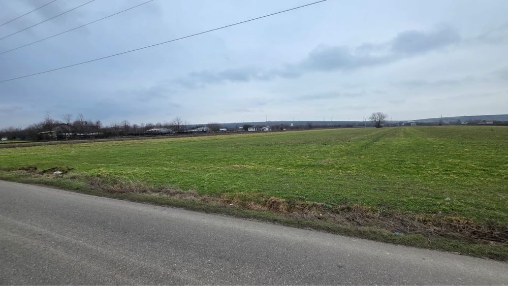 Teren intravilan 3.000 mp - Balanoaia, jud. Giurgiu
Vânzare teren intr