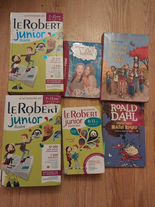Carti in franceza copiii, Dictionar Robertg