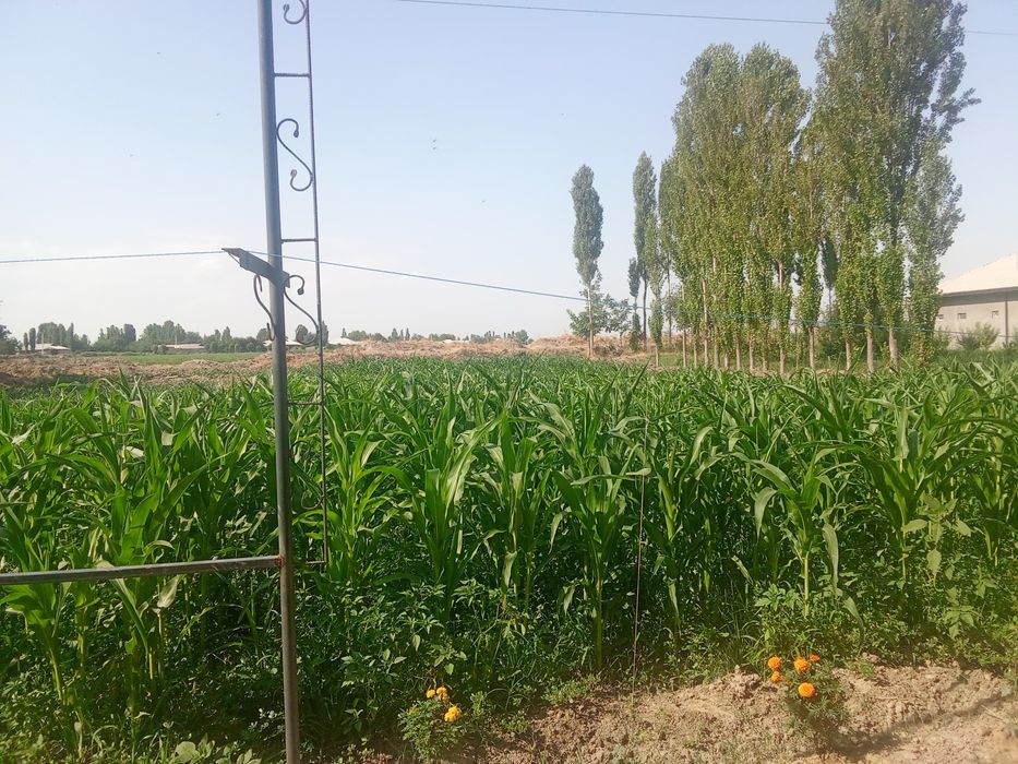 Продается участок 33сотка очень дёшево