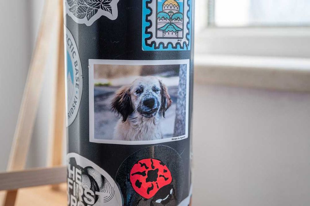 Стикери с Кауза: Бездомите Животни