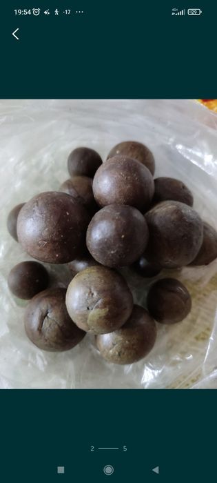 Прополис пчелинный