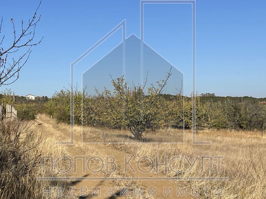 Продава се Парцел в с. Брестник, Област Пловдив - 1124 кв.м за 54 €/кв.м - Снимка #5