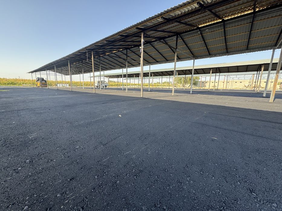 Asfalt Yotqizish Xizmati Butun Jizzax bo'ylab eng arzon narxlarda