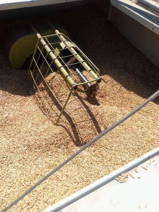 Vând ceriale ,grau  ,ovăz ,soia , porumb producție 2025