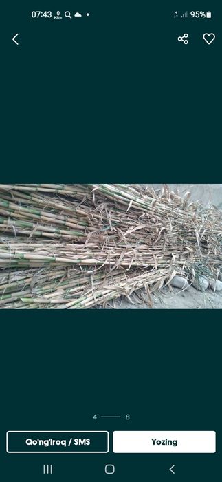 Bambuklar sotiladi narxini qancha olishingizga qarab kelishamiz Bambuk