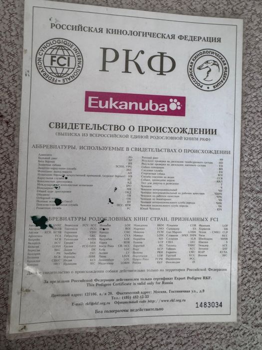 Лабрадор ретривера щенки