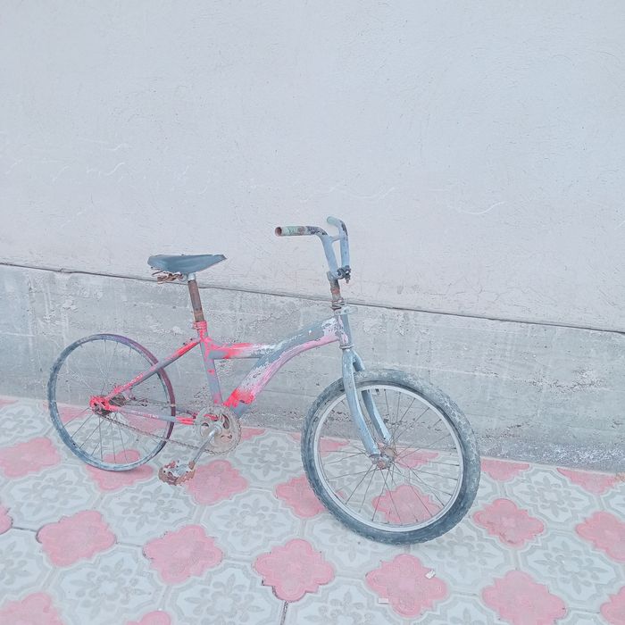 Велик 10 11 возраст