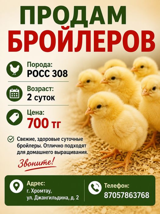 Продам бройлеров РОСС 308
