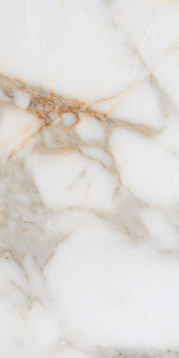 Gresie Alex Calacatta 60x120 Lucioasa