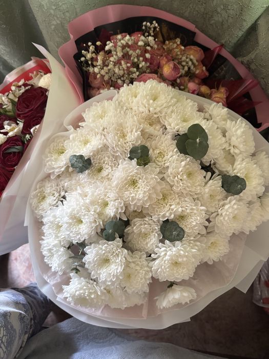 Продам цветы, от 5000 до 13000 тыс