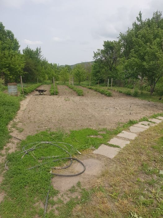 Продам дом 20 соток