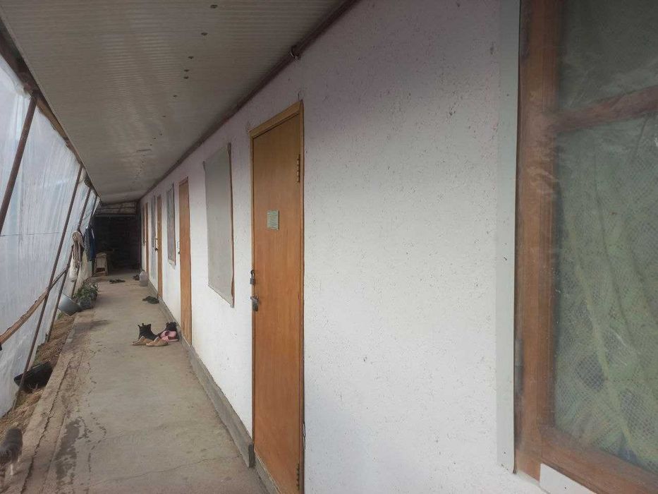 Занги отада 6 сотих уй сотилади