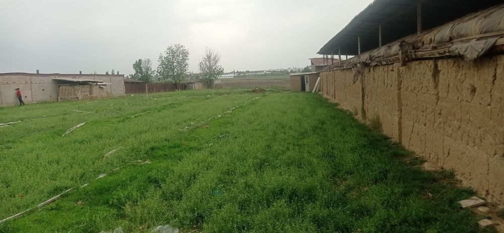 Yunsobod zenit kotta hasanboyda yengi mahalada yer sotiladi 6sutu