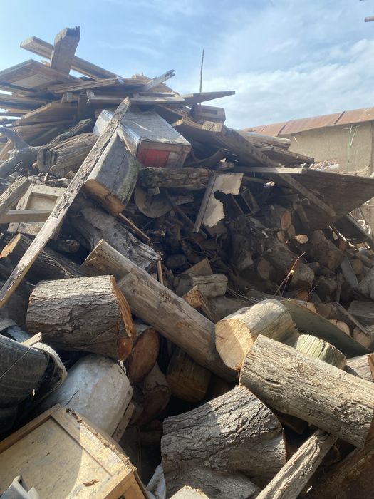 Taxta o’tinla bor sotiladi