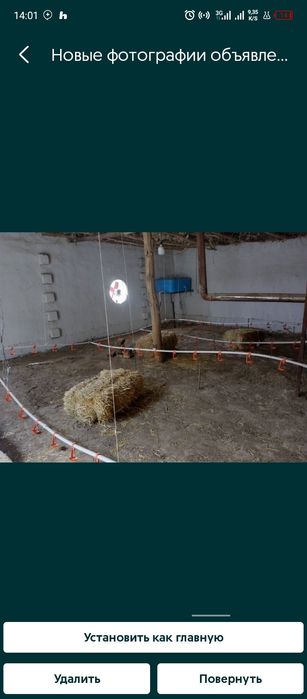 1-Гектар ерда булган 5000талик товукхона ва тайор бизнеслар сотувда