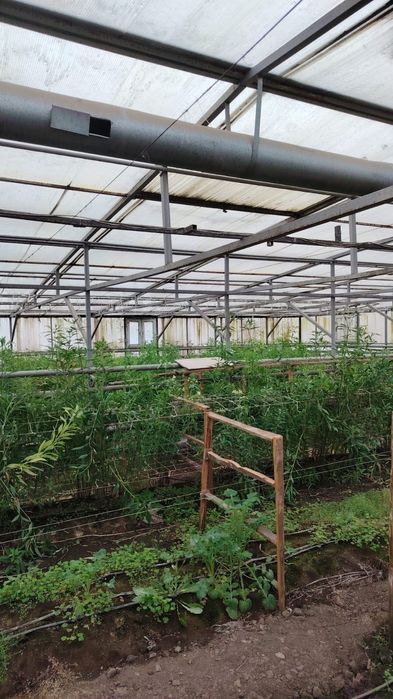 Комерческие помещения