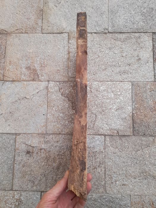 Сух орехов материал