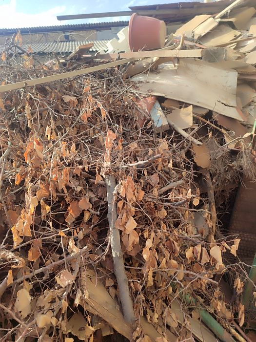 Дрова отдам почти даром . Утин арзон