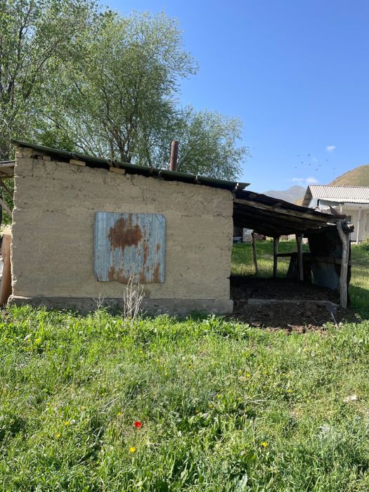 Фазенда в Акыртобе