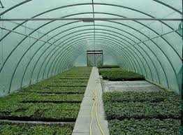 Сетка фасадная-зеленая