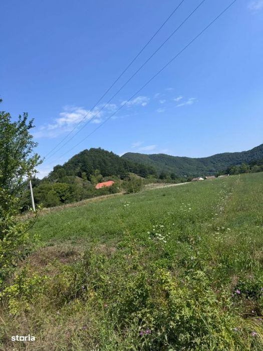 Teren 3600 mp Cheile Nerei – Peisaj de poveste! Oportunitate excelen