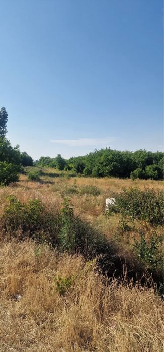 Продава се Земеделски имот в Видин, Акджамия -  кв.м за 565 €/дка - Снимка #10