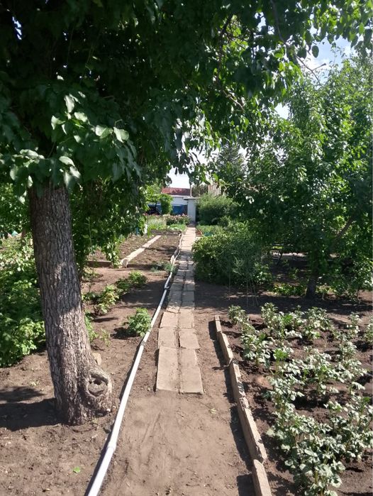 Продаю Дачу район ДСК