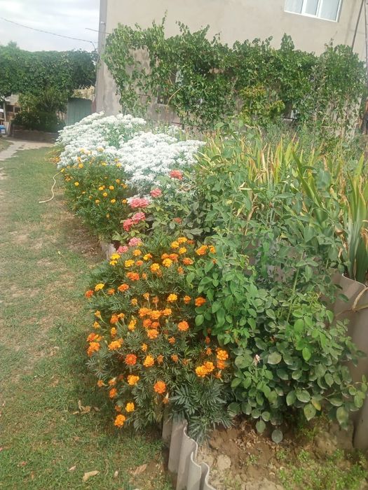 Срочно продам дом - дача