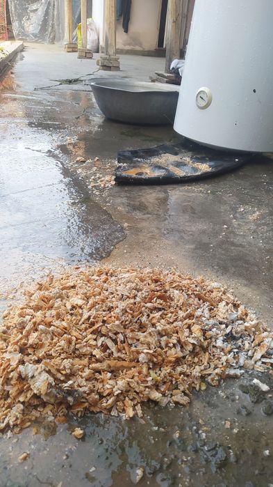 Santexnika va elektrik xizmati