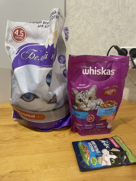 лоток и миски для котят