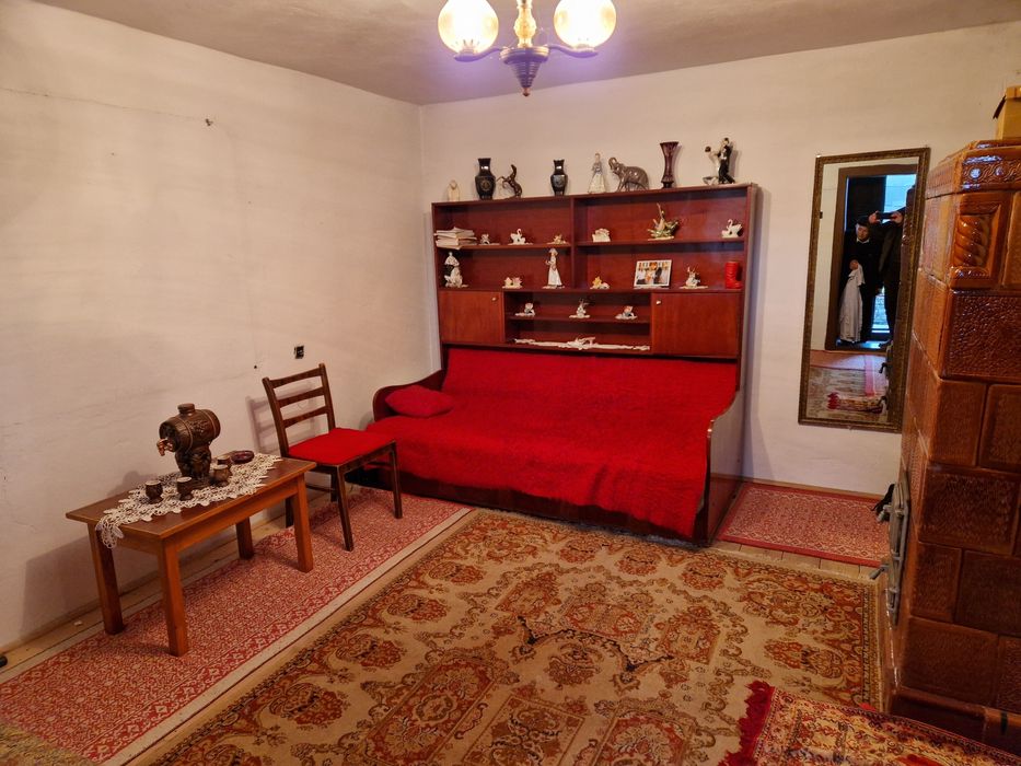 Casă de vânzare în Borosneu Mic