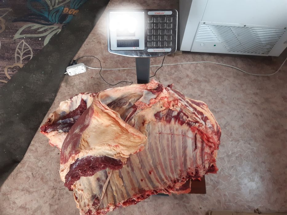 Жылқы ,сиыр еті сатылады!