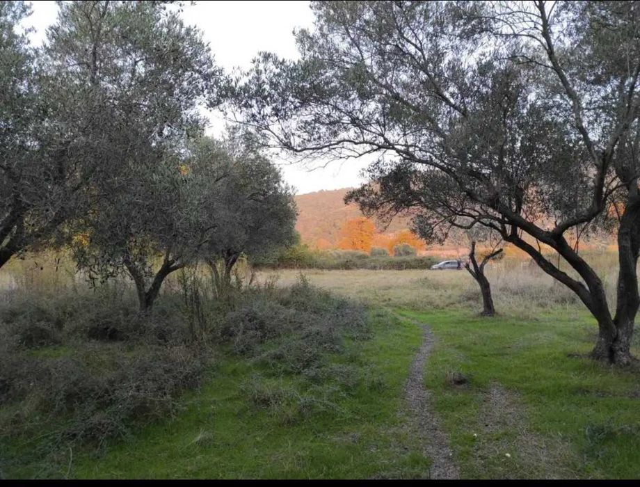 Парцел с гледка към Атон – Кумици на 650 м от морето