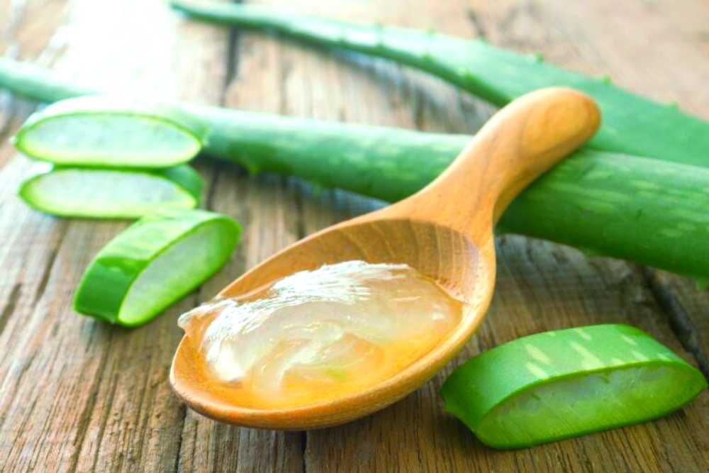 Для проблемной кожи алоэ лечебное
