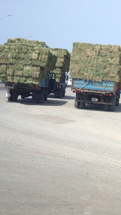 Beda press somon pressga zakaz olamiz